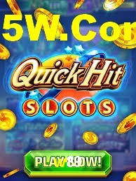 w89 App Interface